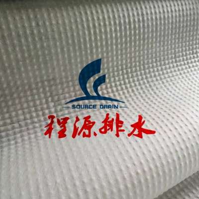 HDPE塑料排水板东营块状排水板工厂直销