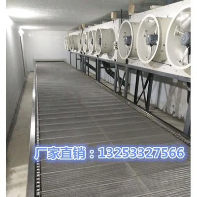 2000kg饺子速冻隧道流水线厂家价格