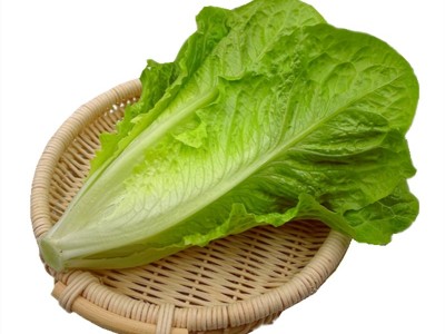 散叶罗马生菜新鲜果蔬绿色蔬菜沙拉火锅西餐食材批发销售餐饮门店