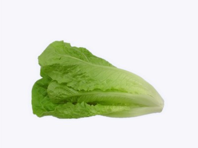 散叶罗马生菜新鲜果蔬绿色蔬菜沙拉火锅西餐食材批发销售餐饮门店图2