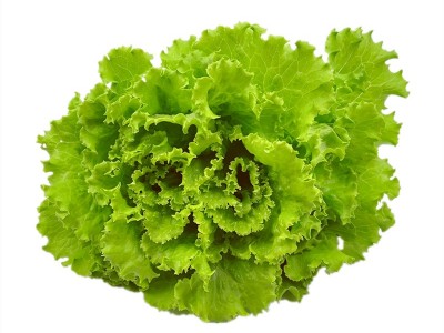 罗莎绿生菜新鲜花叶花边西餐配菜果蔬绿色蔬菜沙拉火锅食材批发图3