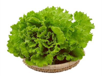 罗莎绿生菜新鲜花叶花边西餐配菜果蔬绿色蔬菜沙拉火锅食材批发图2