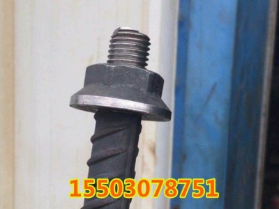 锚固板 钢筋机械锚固螺母 法兰螺母 热锻螺母 45号钢螺母图2