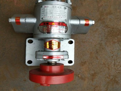 华潮牌KCB-18.3齿轮油泵 抽油泵 输油泵图3