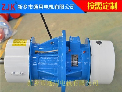 三相侧板异步振动电机 振动设备两侧电机 筛分设备专用振动电机图3