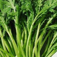 西安蔬菜配送|食材配送公司|干调粮油