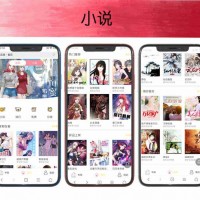 梦幻听书小说APP软件开发漫画系统付费阅读会员分销功能源码