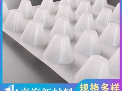 供应常德园林绿化塑料排水板生产厂家图3