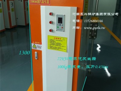 WNS1吨燃气蒸汽锅炉 洗涤厂蒸汽锅炉图4