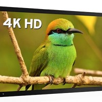 深圳蓝光数芯98寸液晶监视器 安防监