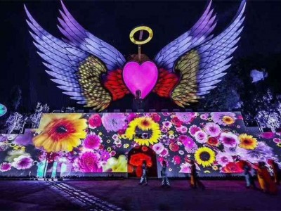 龙君展览带你玩转灯光节图2