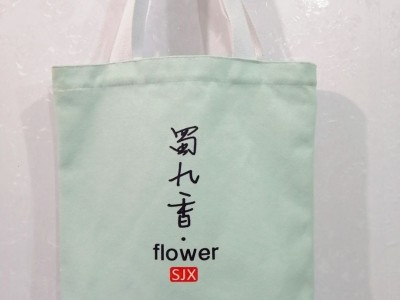 环保帆布女手提袋 河南帆布袋厂家 帆布袋加工厂家图2