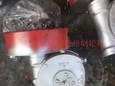 带链条阀门蜗轮箱QDX3-6煤化工阀门带链轮蝶阀减速机