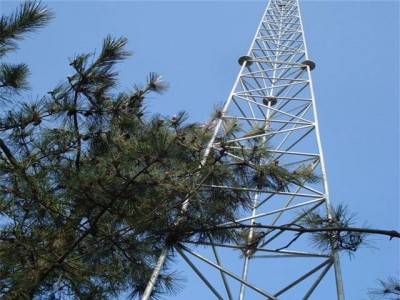 避雷线塔 避雷塔 避雷针塔厂家安装