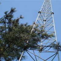 避雷线塔 避雷塔 避雷针塔厂家安装