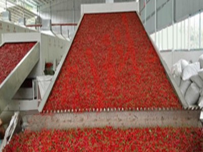 全自动带式山药烘干机 枸杞网带烘干机 电加热野生坚果烘干设备