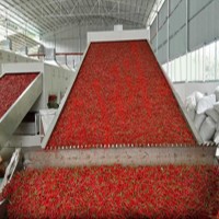 全自动带式山药烘干机 枸杞网带烘干