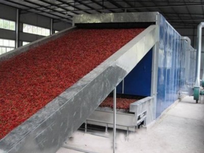 全自动带式山药烘干机 枸杞网带烘干机 电加热野生坚果烘干设备图2