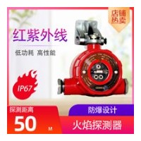 隧道用火焰探测器