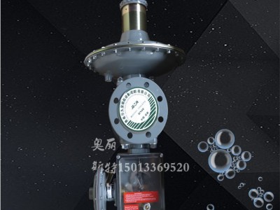 费希尔RTZ-65/0.4SE直接作用式调压器