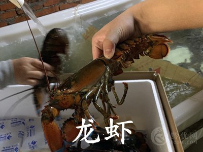 天津进口清关代理图4