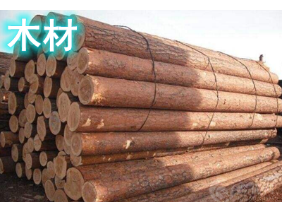 天津进口清关代理图5