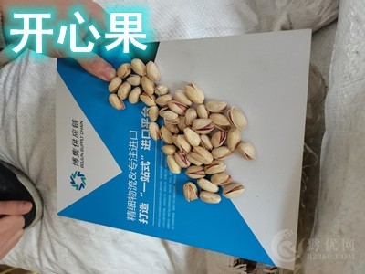 天津进口清关公司图4