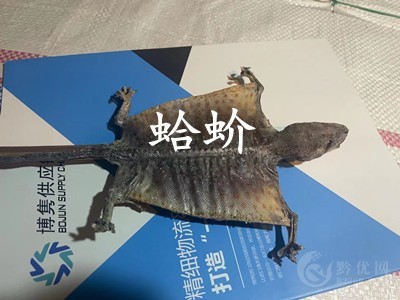 天津进口清关图3