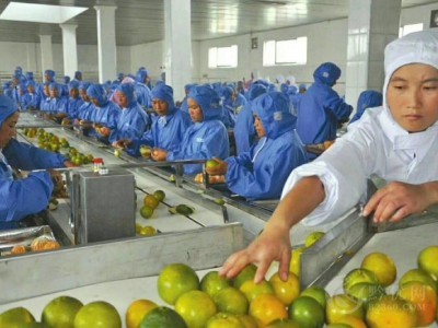 出国劳务香港新西兰工程车司机广告排维修工资2万