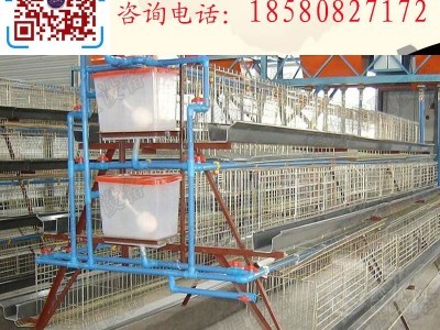 蛋鸡笼 阶梯式蛋鸡笼 层叠式蛋鸡笼 镀锌蛋鸡笼图3