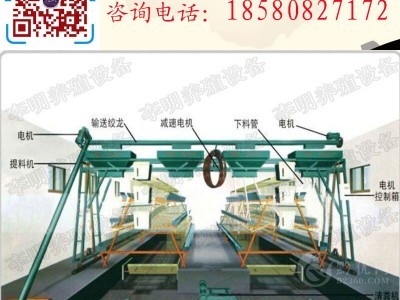 自动喂料机 养殖设备 行车式自动喂料机 笼门式喂料机图2