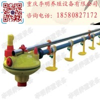 水线 养殖设备 养鸡水线 肉鸡水线 蛋