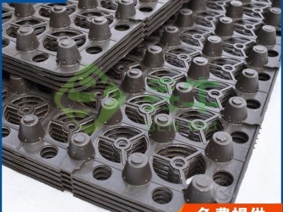 周口市防水防潮蓄排水板型号齐全图2