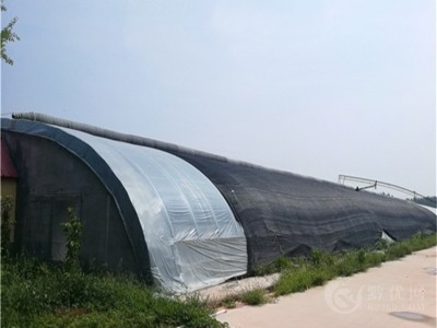 厂家承接 日光温室大棚建造  薄膜温室大棚工程图1