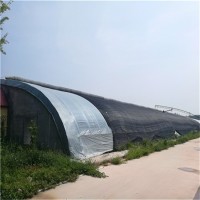 厂家承接 日光温室大棚建造  薄膜温