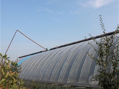 蔬菜日光温室   连栋薄膜温室大棚  厂家直销图1