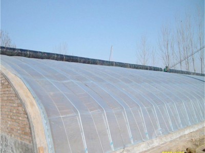 蔬菜日光温室   连栋薄膜温室大棚  厂家直销图2