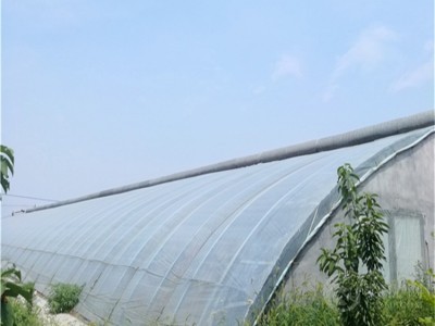日光温室大棚造价  塑料薄膜温室价格   请点击查看