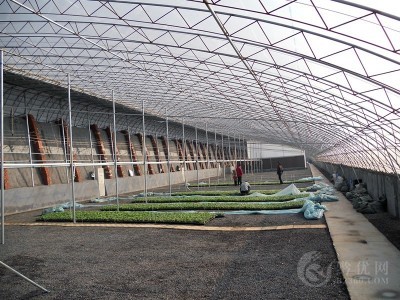 日光温室大棚造价  塑料薄膜温室价格   请点击查看图2