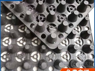 唐山市hdpe屋顶绿化蓄排水板欢迎洽谈图4