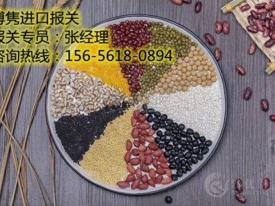 天津进口报关代理公司图2