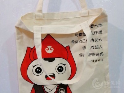 印花帆布包 河南帆布包定做 手提帆布包厂家图2