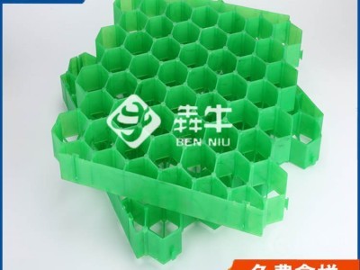 珠海市hdpe消防通道绿化植草格型号齐全