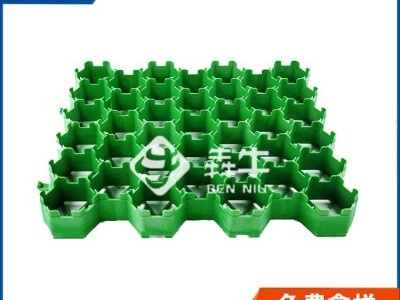 珠海市hdpe消防通道绿化植草格型号齐全图3