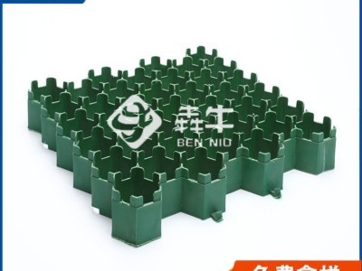 珠海市hdpe消防通道绿化植草格型号齐全图2