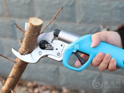 修枝剪推荐，修枝剪现货供应图3