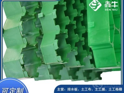 南平市停车场人行通道绿化草坪格发货速度快图3