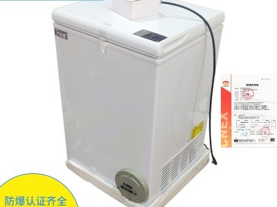 小型防爆冰柜BL-W100卧式冷藏冷冻防爆转换冰柜100L