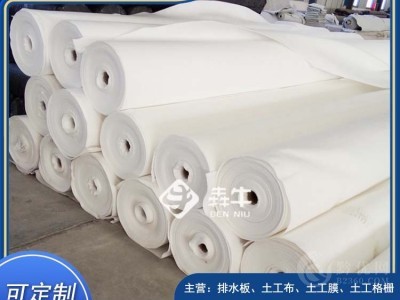 柳州市垃圾填埋场用400g长丝土工布图3