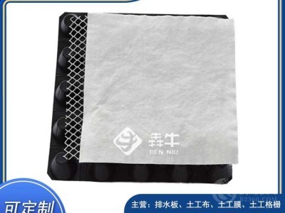 柳州市垃圾填埋场用400g长丝土工布图5